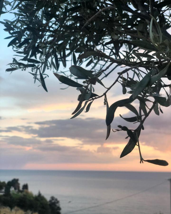 Hotel Senator Ulcinj Exteriér fotografie