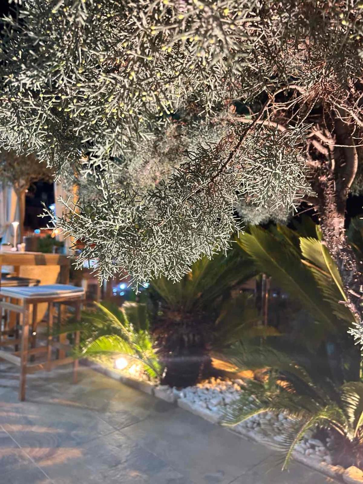 Hotel Senator Ulcinj Exteriér fotografie